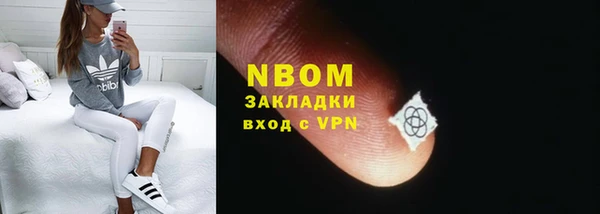 крисы Кодинск