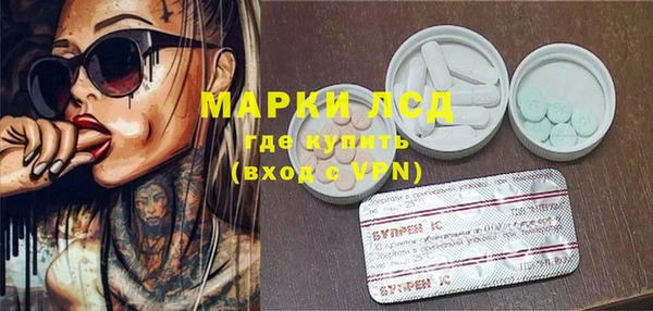 ECSTASY Костерёво