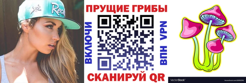 Псилоцибиновые грибы Psilocybe  Кораблино 